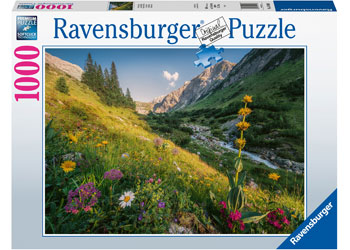 RAVENSBURGER JIGSAW PUZZLE 1000PC MAGICAL VALLEY