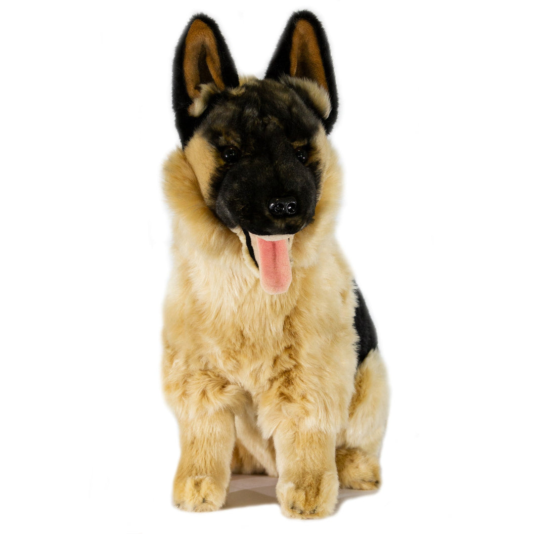 BOCCHETTA MAJOR GERMAN SHEPHERD