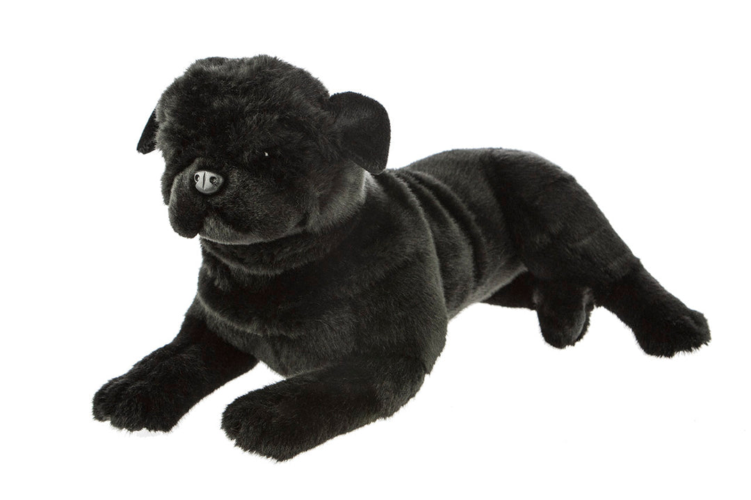 BOCCHETTA BANDIT BLACK PUG