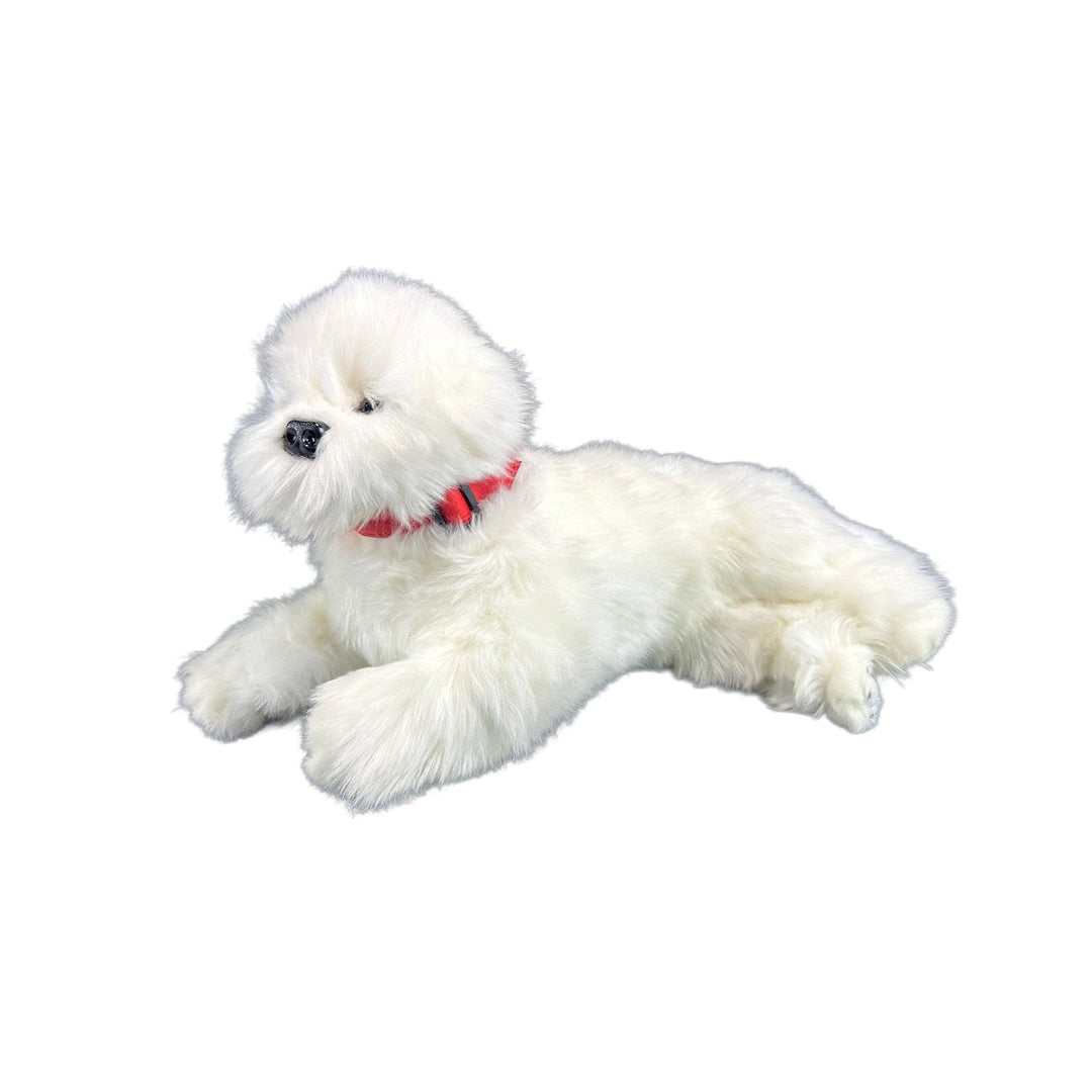 BOCCHETTA ANNABELLE BICHON FRISE