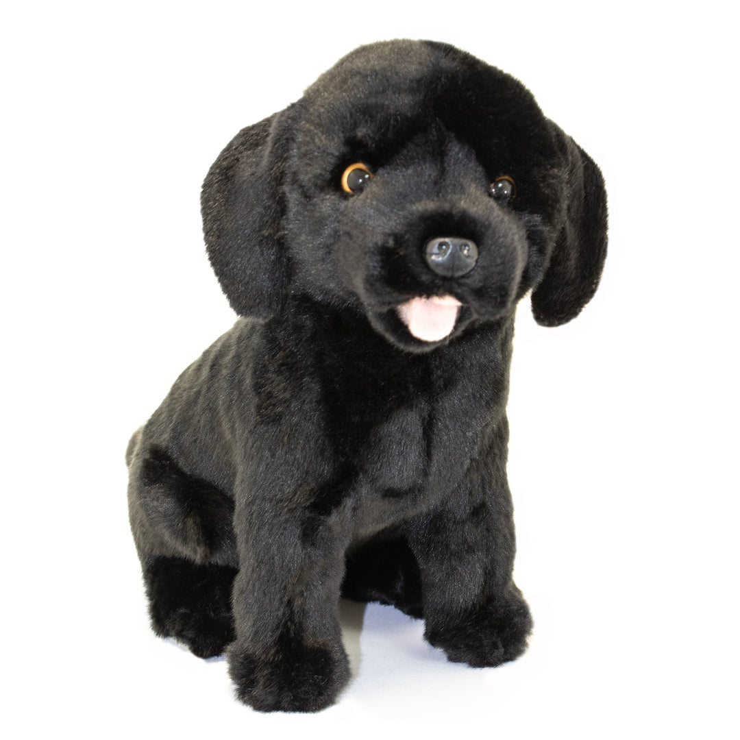 BOCCHETTA DARTH LABRADOR