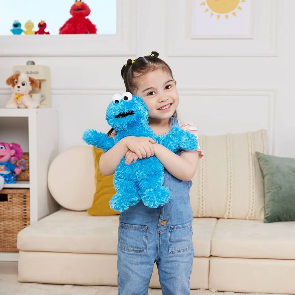 SS COOKIE MONSTER 25CM