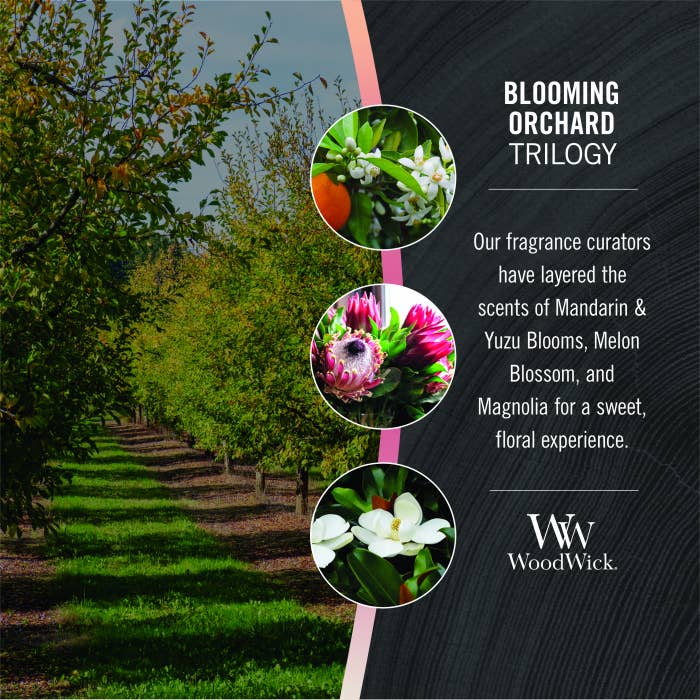 WOODWICK LGE TRILOGY BLOOMING ORCHARD