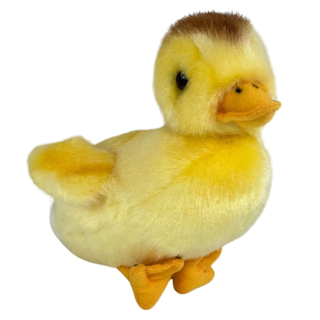 BOCCHETTA DUTCHESS DUCKLING