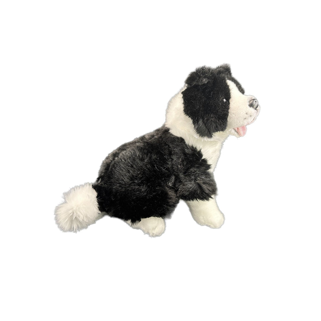 BOCCHETTA PEPSI BORDER COLLIE 