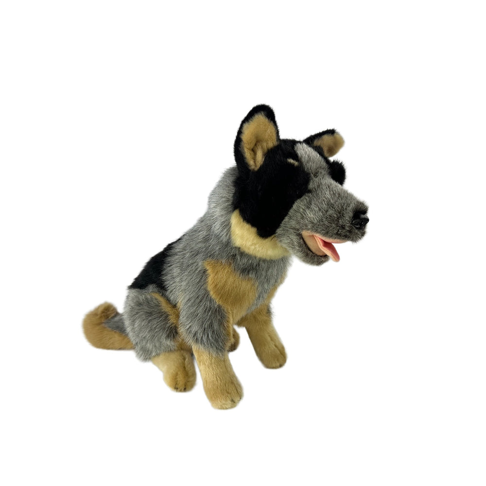 BOCCHETTA MARSHALL CATTLE DOG