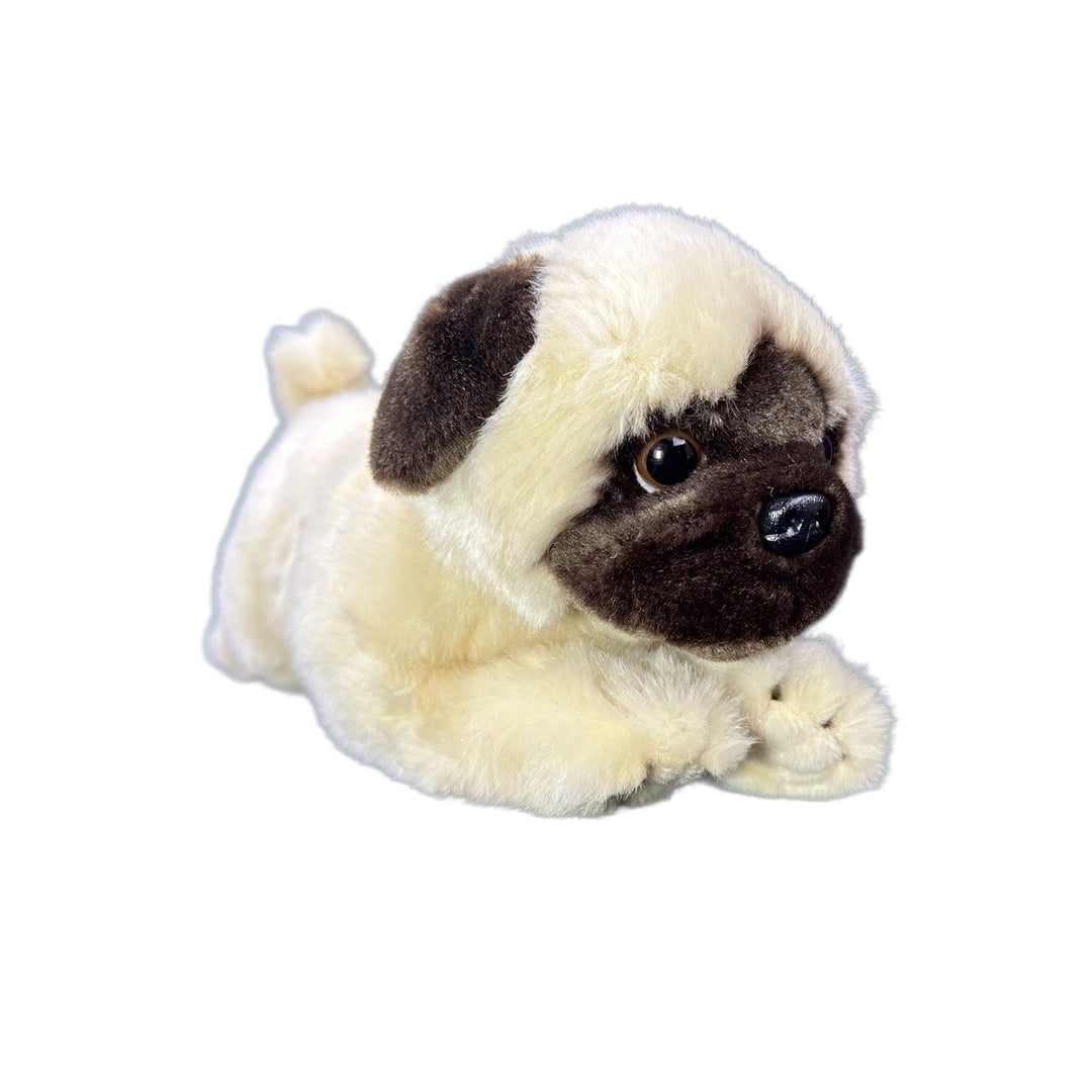 BOCCHETTA PEPITO PUG