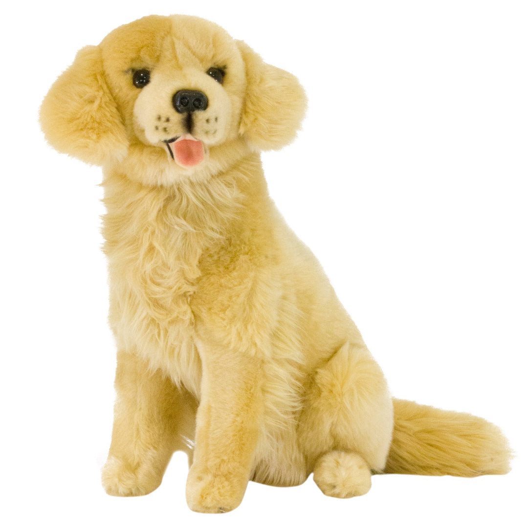 BOCCHETTA GOLDIE GOLDEN RETREIVER