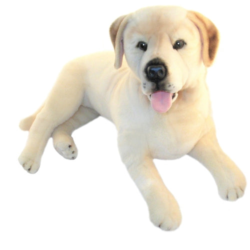 BOCCHETTA BEAU LABRADOR 