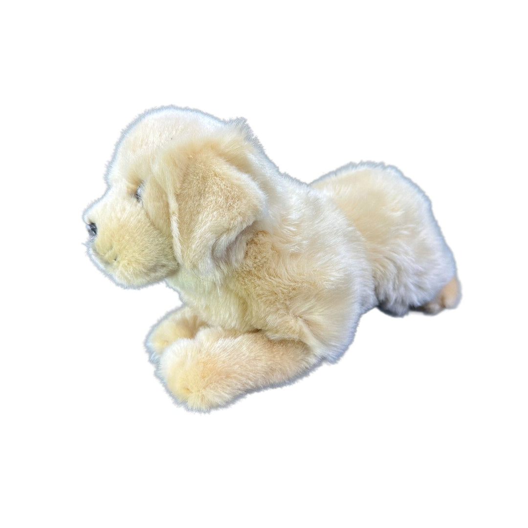 BOCCHETTA MAPLE GOLDEN RETRIEVER