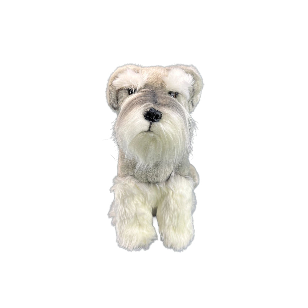 BOCCHETTA WATSON SCHNAUZER 