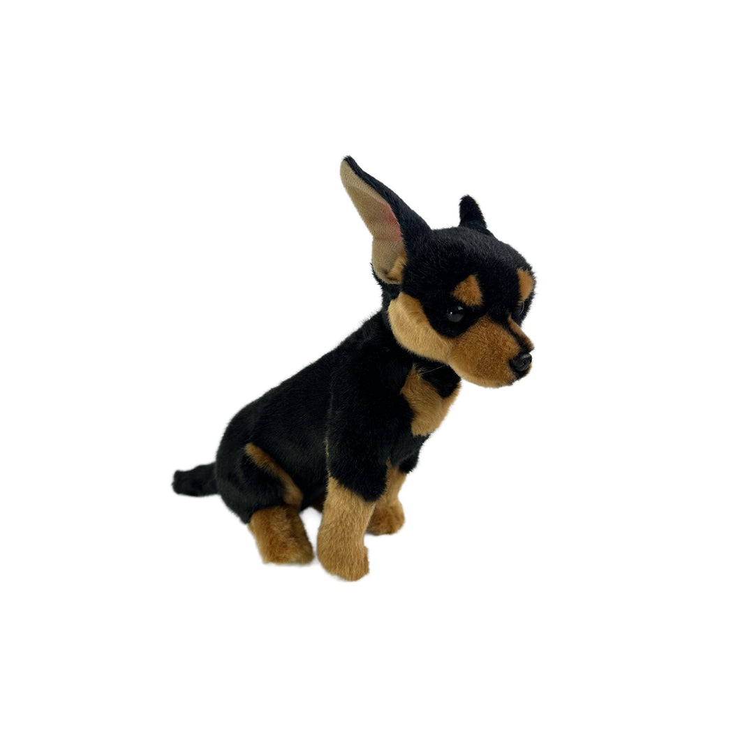 BOCCHETTA TACO CHIHUAHUA 