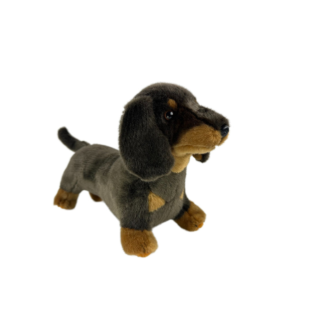 BOCCHETTA STRETCH DACHSHUND 