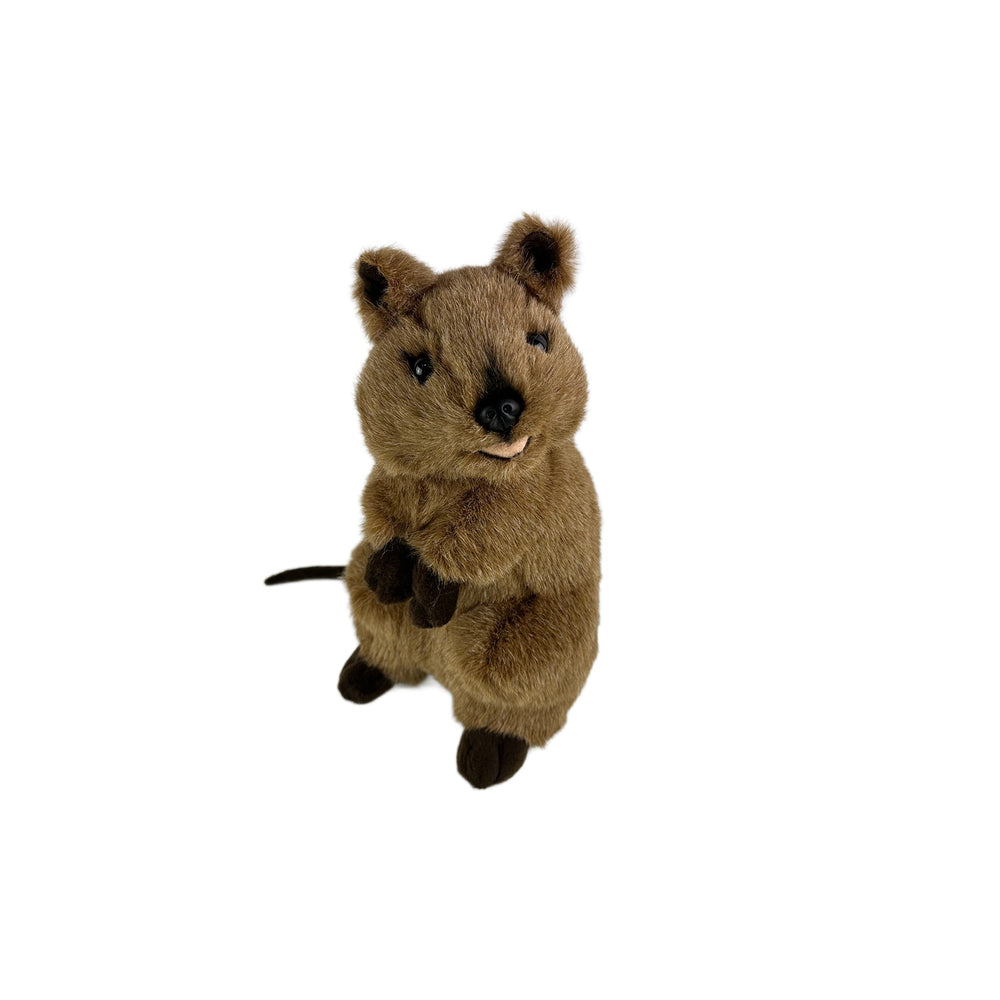 BOCCHETTA ROGER QUOKKA