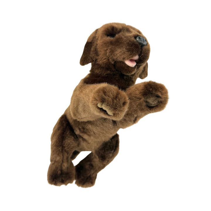 BOCCHETTA COCO CHOCOLATE LABRADOR