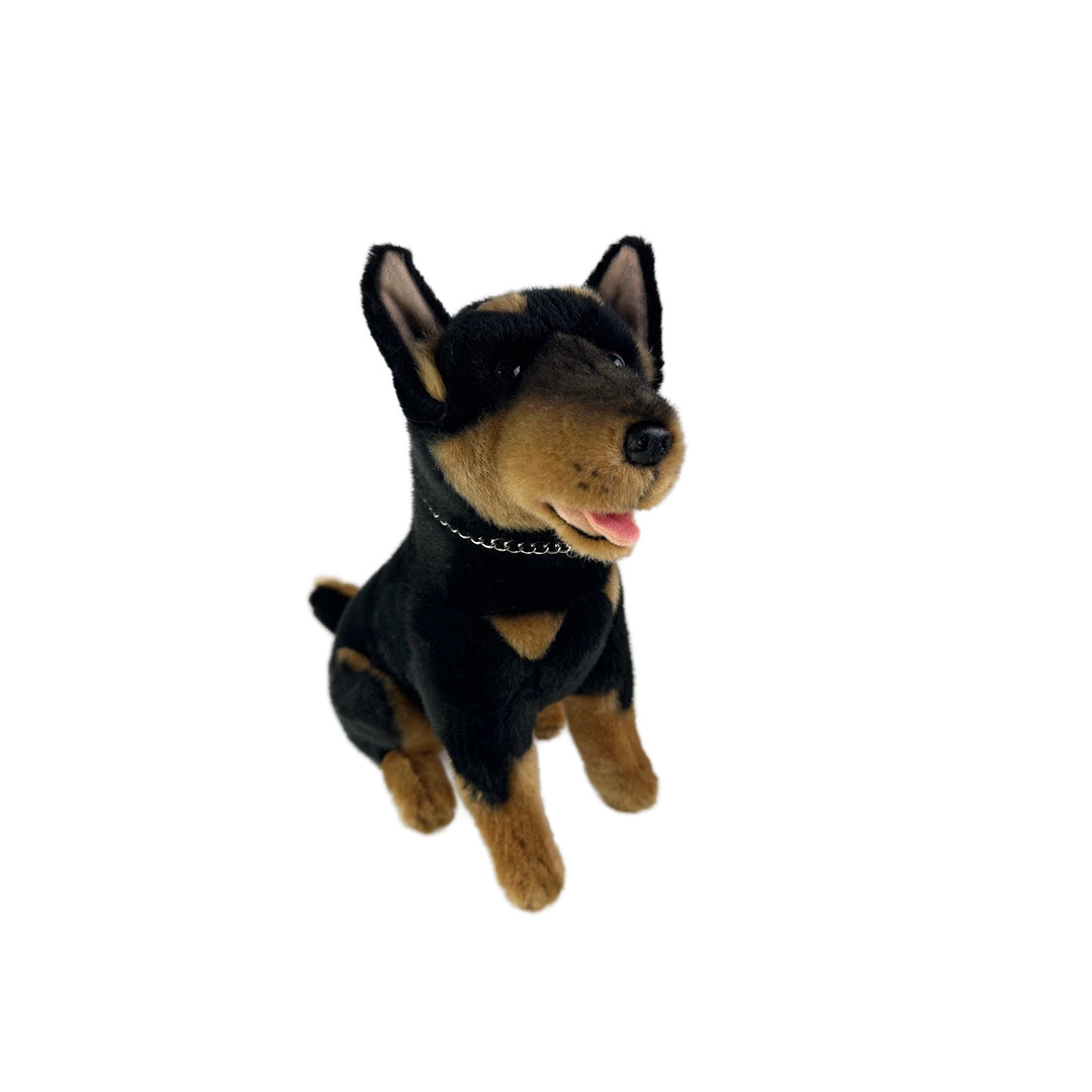 BOCCHETTA REX BLACK KELPIE 