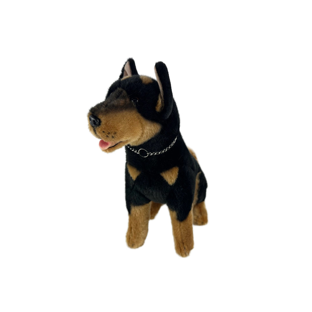 BOCCHETTA REX BLACK KELPIE 