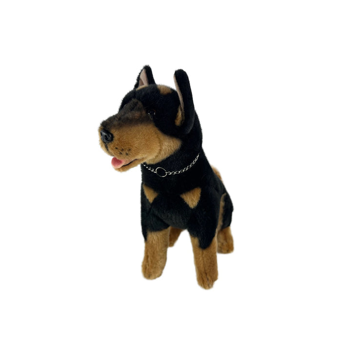 BOCCHETTA REX BLACK KELPIE 