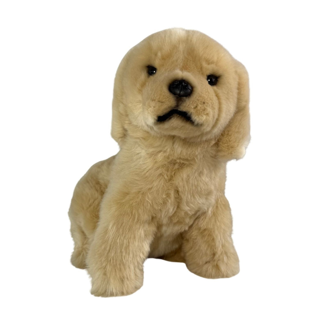 BOCCHETTA CHANEL GOLDEN RETRIEVER