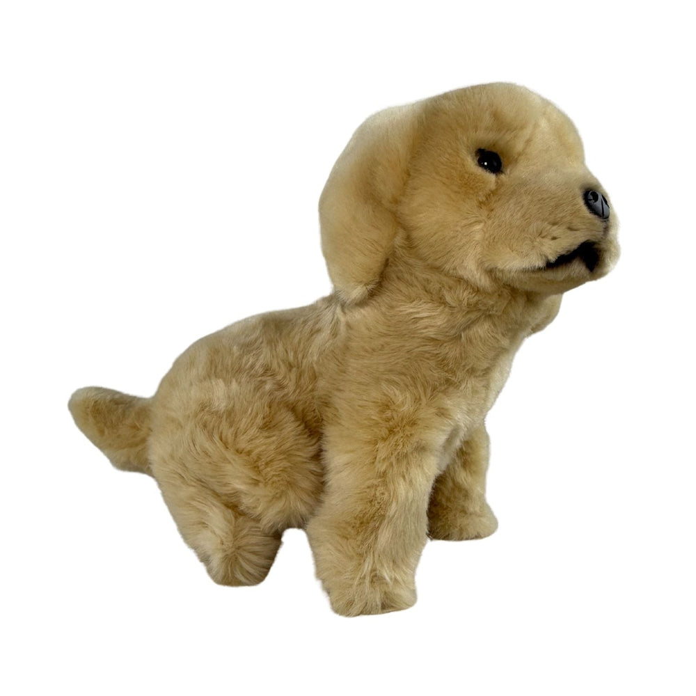 BOCCHETTA CHANEL GOLDEN RETRIEVER