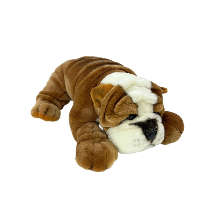 BOCCHETTA BOSTON BULLDOG 