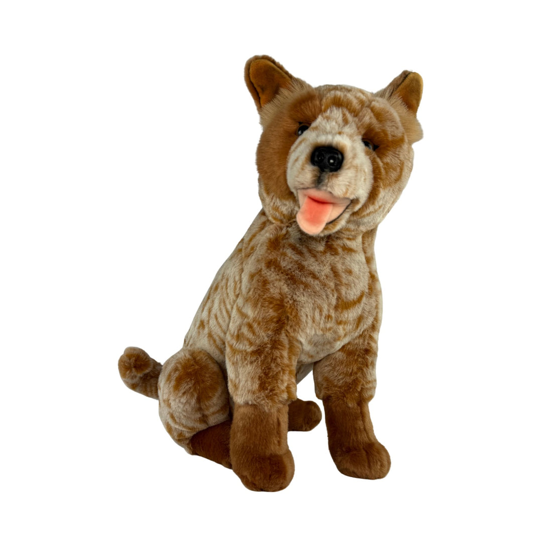 BOCCHETTA COPPER RED CATTLE 