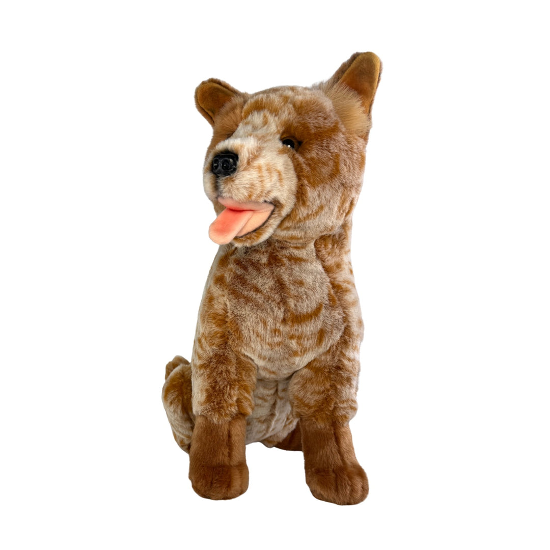 BOCCHETTA COPPER RED CATTLE 