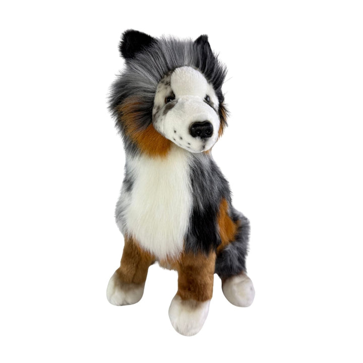 BOCCHETTA OAKLEY AUSTRALIAN SHEPHERD