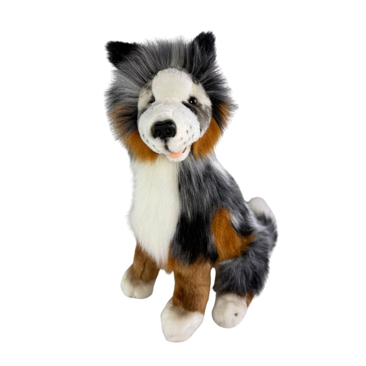BOCCHETTA OAKLEY AUSTRALIAN SHEPHERD