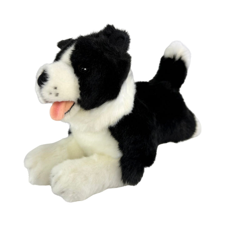 BOCCHETTA PATCH SMALL BORDER COLLIE